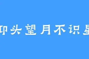 仰头望月不识星