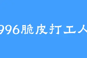 996脆皮打工人