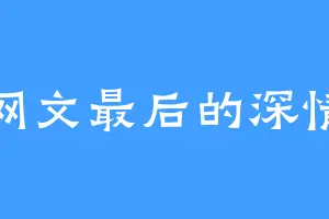 网文最后的深情