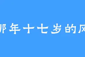那年十七岁的风