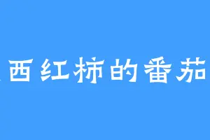 不是西红柿的番茄不是