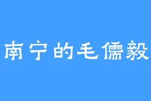 南宁的毛儒毅