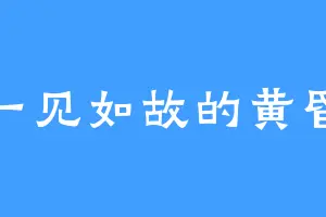一见如故的黄昏