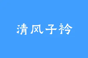 清风子衿