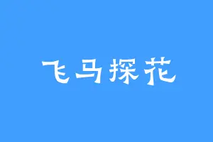 飞马探花
