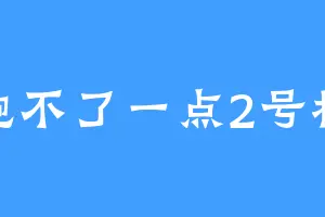 饱不了一点2号机