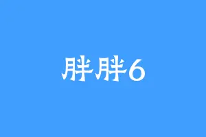 胖胖6