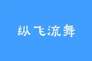 纵飞流舞