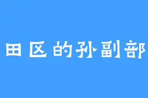 雁田区的孙副部长