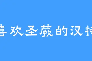 喜欢圣蕨的汉特