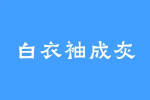 白衣袖成灰