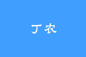 丁农
