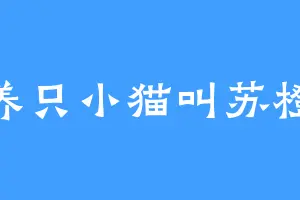 养只小猫叫苏橙