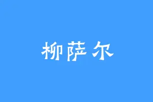 柳萨尔