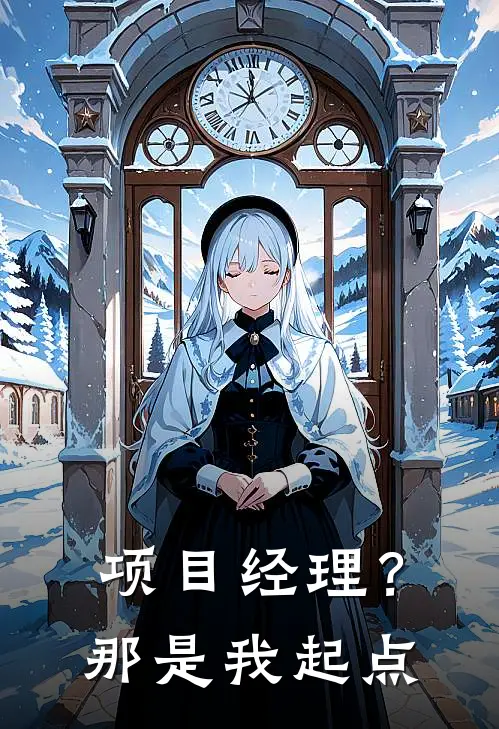 项目经理？那是我起点(苏晴前龙)全本免费在线阅读_苏晴前龙全文阅读