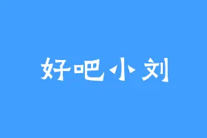 好吧小刘
