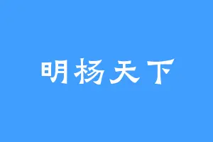 明杨天下