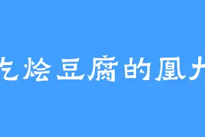 爱吃烩豆腐的凰九夜