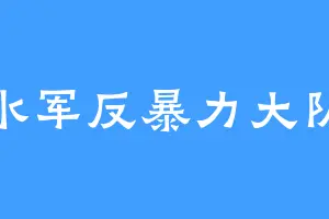 反水军反暴力大队长