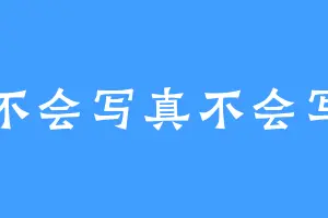 不会写真不会写