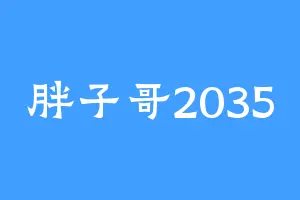 胖子哥2035