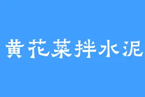 黄花菜拌水泥