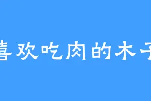 喜欢吃肉的木子