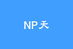 NP天