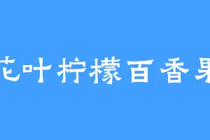 花叶柠檬百香果