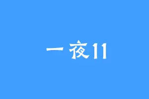 一夜11
