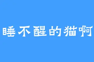 睡不醒的猫啊