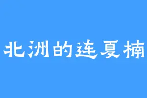 北洲的连夏楠