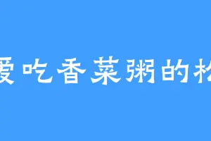爱吃香菜粥的松