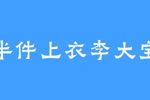半件上衣李大宝