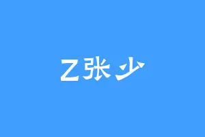 Z张少