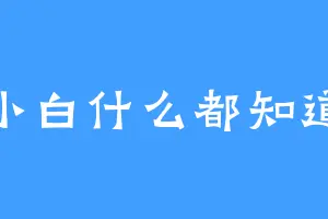 小白什么都知道