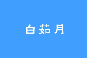 白茹月