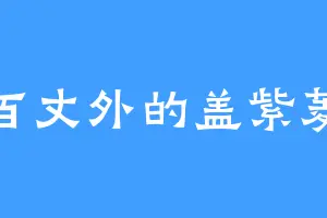 百丈外的盖紫菱