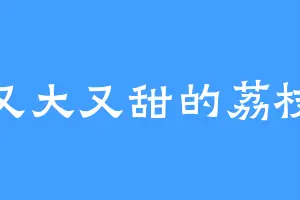 又大又甜的荔枝