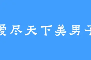 爱尽天下美男子
