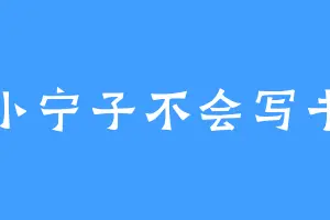 小宁子不会写书