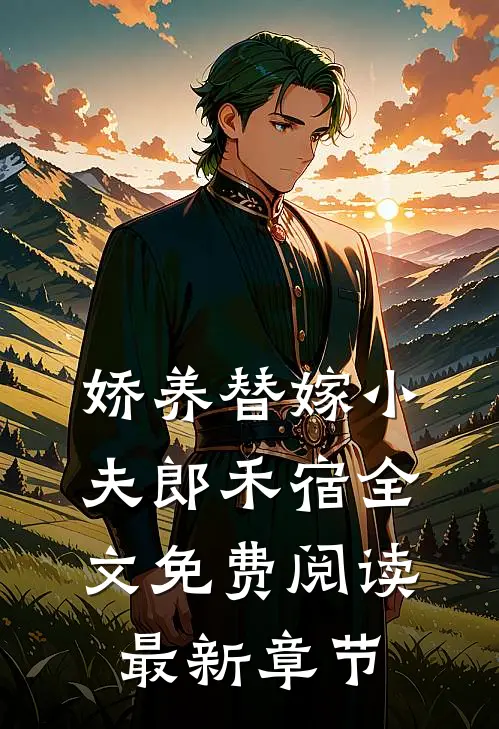 娇养替嫁小夫郎禾宿全文免费阅读最新章节