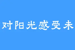 背对阳光感受未来
