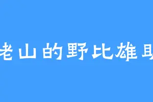 姥山的野比雄助
