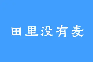 田里没有麦