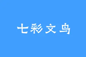 七彩文鸟
