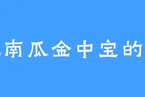 爱吃南瓜金中宝的杨晴