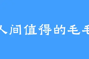 人间值得的毛毛