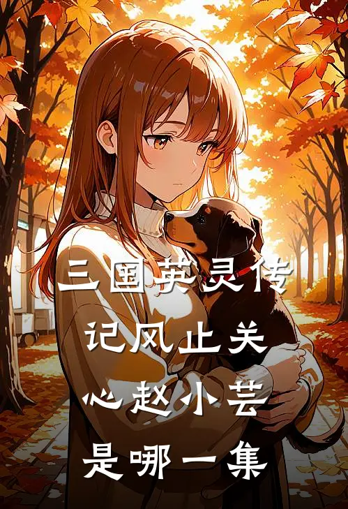 三国英灵传记风止关心赵小芸是哪一集