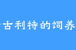 斯古利特的饲养员